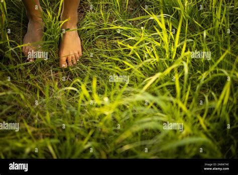 nude girls in nature|3,704 Naturism Stock Photos and High